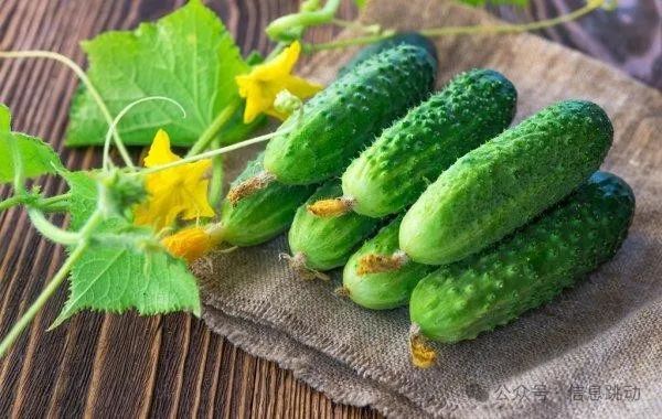 哪个季节适合补钙(季节补钙适合什么人群)-硒宝网