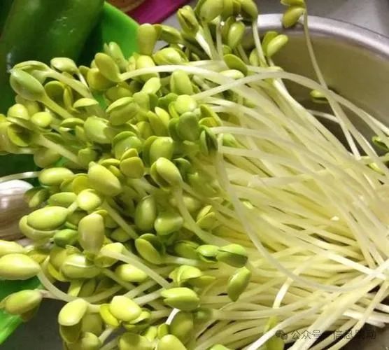 哪个季节适合补钙(季节补钙适合什么人群)-硒宝网