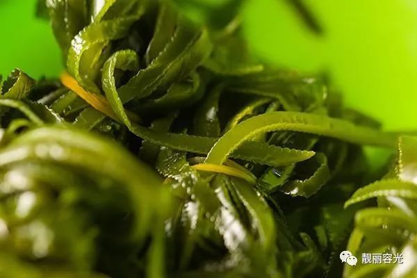 中年人补钙什么钙片效果最好（中年补钙片什么牌子）-硒宝网