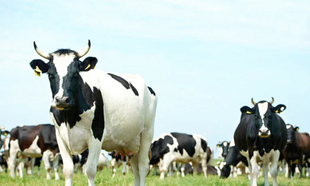 孩子吃什么补钙（补钙小孩子能让小孩子长高么）-硒宝网