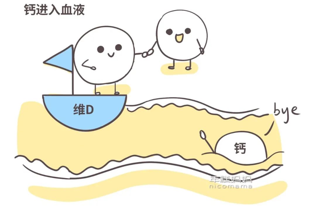 孩子吃什么补钙（补钙小孩子能让小孩子长高么）-硒宝网