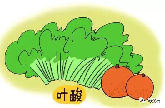 怀孕锌硒宝片要吃多久（怀孕了吃锌硒宝片有什么功效）-硒宝网