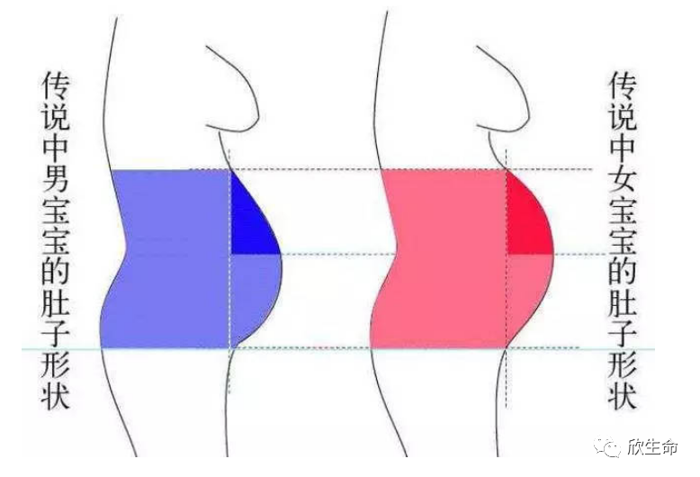 男性备孕吃哪种硒锌宝（男士备孕吃锌硒宝有害吗）-硒宝网