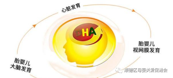 男性备孕吃哪种硒锌宝(男性备孕是吃锌硒宝还是叶酸)-硒宝网