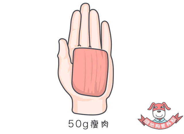 备孕女性要吃锌硒宝吗（备孕吃锌硒宝有用么）-硒宝网