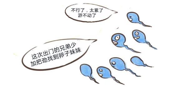 锌硒宝能提高y精子吗（锌硒宝能提高y精子吗）-硒宝网