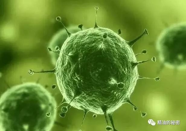 补钙多长时间为一疗程（补钙疗程多久）-硒宝网