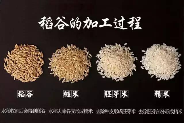 孕妇吃的锌硒宝是哪个（怀孕锌硒宝片有什么功效）-硒宝网