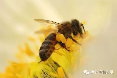 肝硬化可以吃硒锌宝吗(肝硬化能补锌吗)-硒宝网