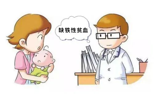 果蔬铁补铁效果怎么样(果蔬铁是什么)-硒宝网