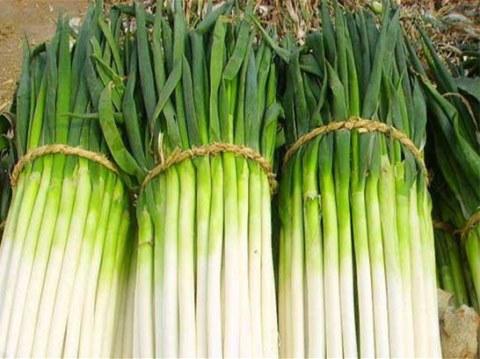 锌硒宝可以治胃溃疡吗（锌硒宝克疡）-硒宝网