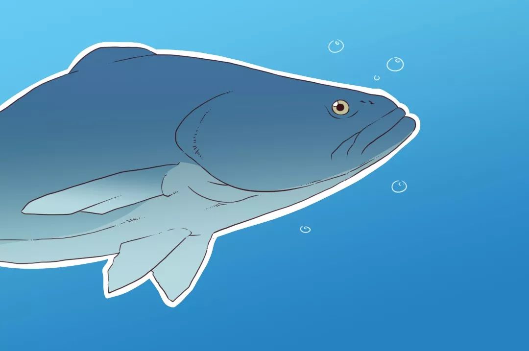 1岁宝宝能吃锌硒宝吗（宝宝吃锌硒宝片有什么功效）-硒宝网