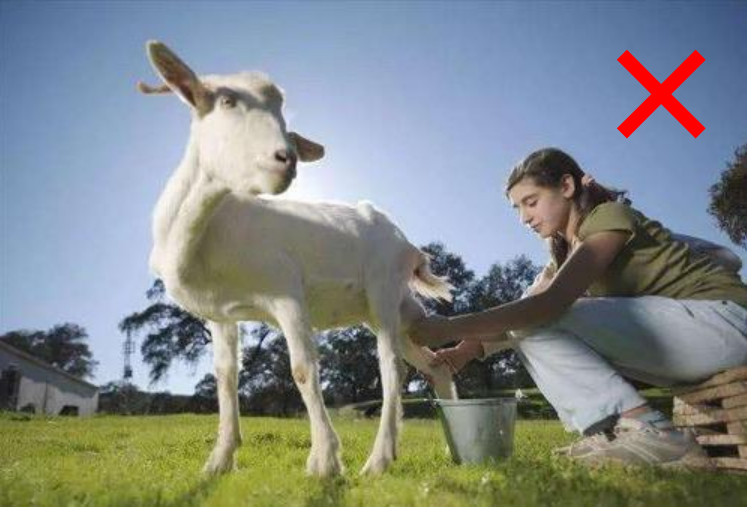 锌硒宝片蛋白过敏症状(蛋白锌硒片是药还是保健品)-硒宝网