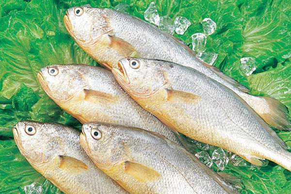 五岁宝宝吃锌硒宝好吗（宝宝吃锌硒宝多久是一个疗程）-硒宝网