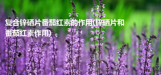 番茄红素锌硒宝片用量（番茄红素搭配锌硒宝功效）-硒宝网