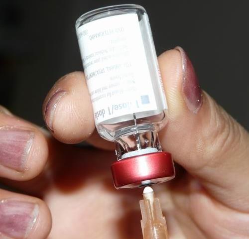 锌硒宝吃了能打疫苗吗（宝宝吃了锌硒宝片能打预防针吗）-硒宝网