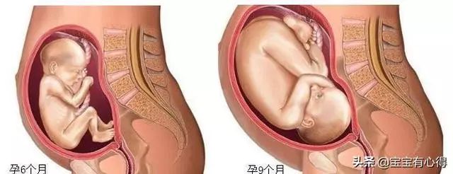 怀孕几个月可以补钙（怀孕补钙可以补到生吗）-硒宝网