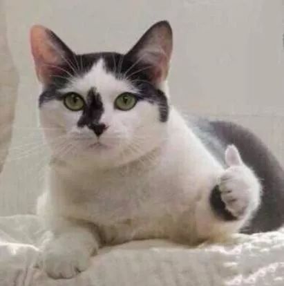 60岁老人补钙哪个牌子好(牌子补钙老人好的有哪些)-硒宝网