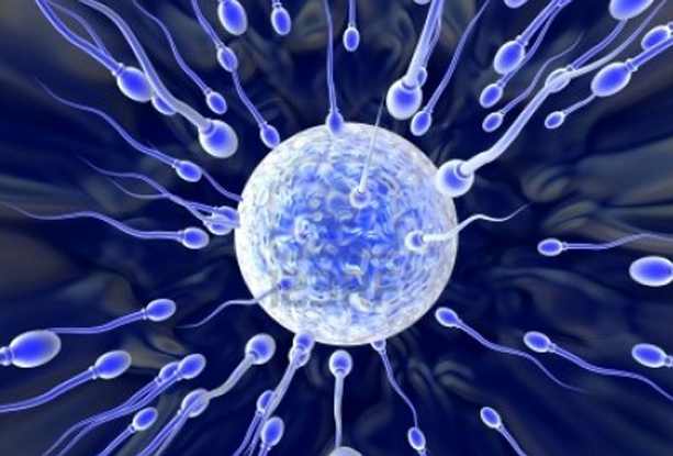 准爸爸锌硒宝是真是假(锌硒宝生儿子)-硒宝网