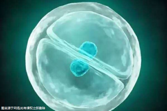 男士补锌(男士补锌吃什么好)-硒宝网