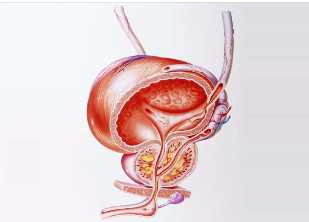 锌硒宝和瓜子一起吃了(吃瓜子补锌吃生的还是熟的)-硒宝网