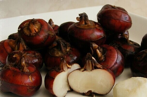 锌硒宝片是什么样子的(锌硒宝片是药物吗)-硒宝网