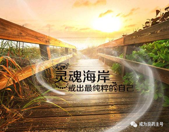 锌硒宝备孕能不能多吃(备孕吃锌硒宝片有什么功效)-硒宝网