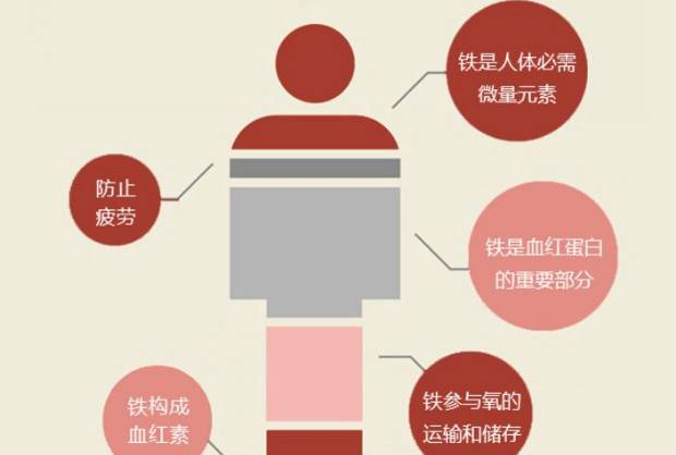 补铁片（补铁片有什么副作用）-硒宝网
