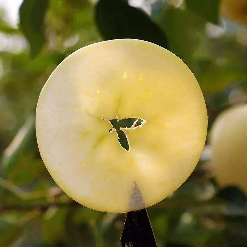 什么水果补锌(水果补锌的有哪些)-硒宝网