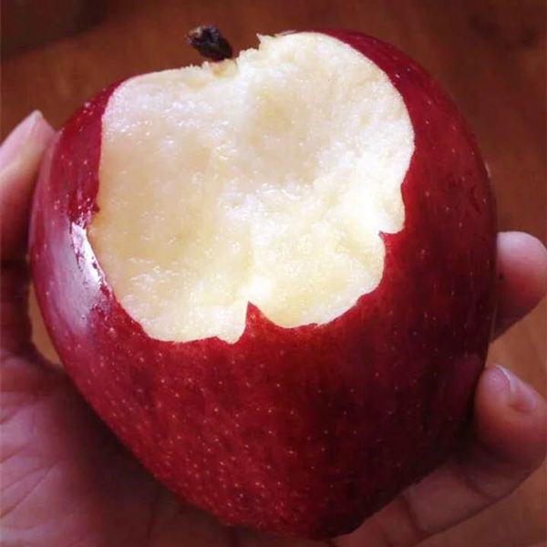 什么水果补锌(水果补锌的有哪些)-硒宝网