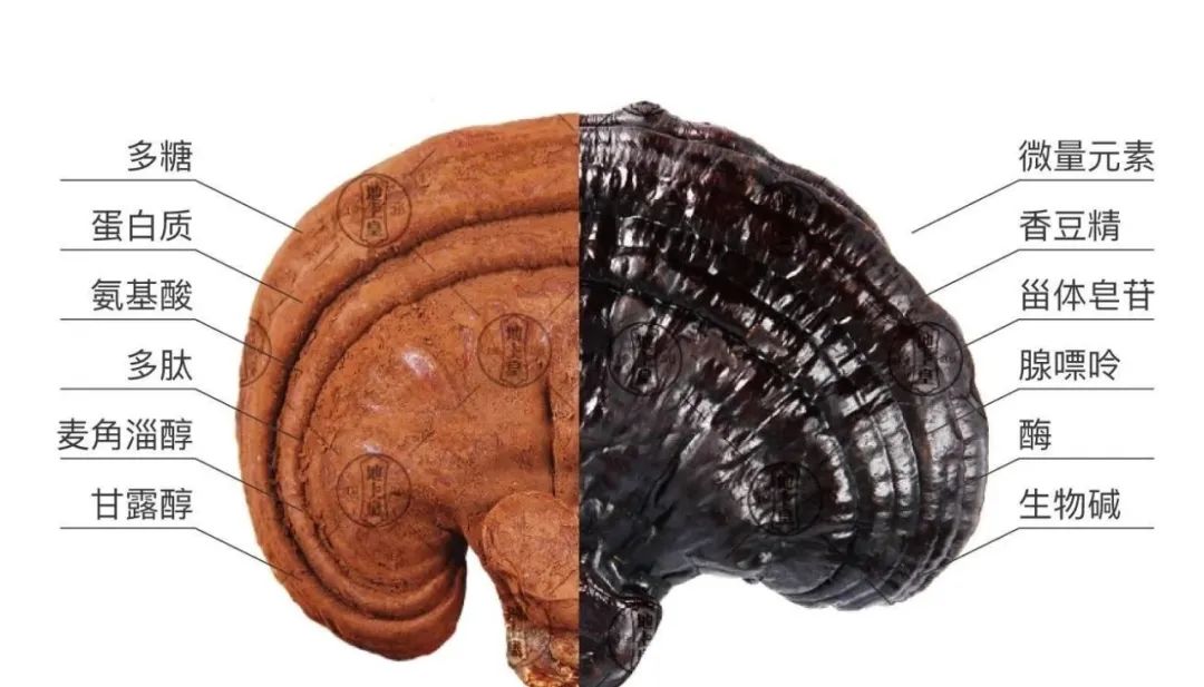 锌硒片的作用及功能主治（锌药片）-硒宝网