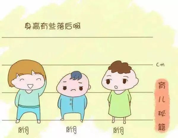 微量元素多长时间出结果(微量元素大概多长时间出结果)-硒宝网