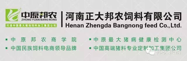 硒酵母片好还是专补硒好（硒酵母补硒效果好吗）-硒宝网