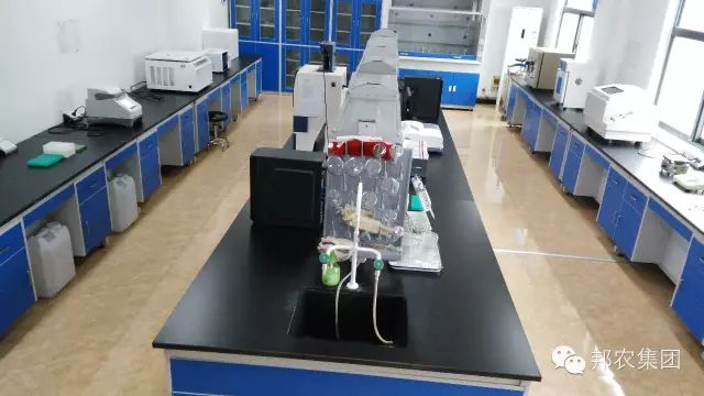 硒酵母片好还是专补硒好（硒酵母补硒效果好吗）-硒宝网