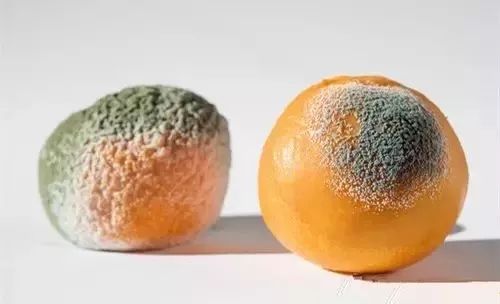 补硒 剂量 中毒的表现(硒中毒的症状为)-硒宝网