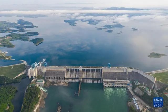 有多少国家立法强制补硒(国家关于补硒政策)-硒宝网