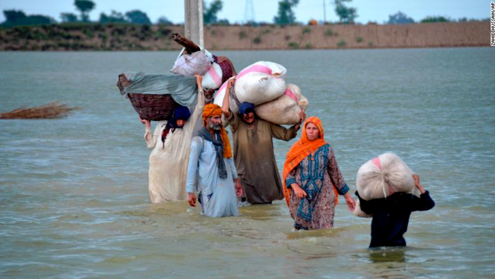 有多少国家立法强制补硒(国家关于补硒政策)-硒宝网