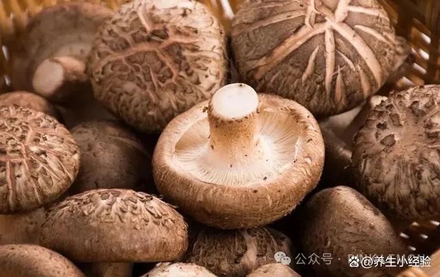 什么蔬菜补硒最快最好的(什么蔬菜补硒效果最好)-硒宝网