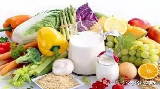 什么蔬菜补硒最快最好的(什么蔬菜补硒效果最好)-硒宝网