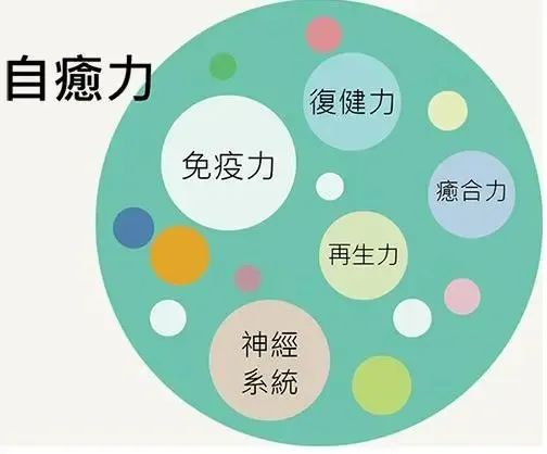 如何正确科学的补硒问题(如何科学补硒才能保证效果)-硒宝网