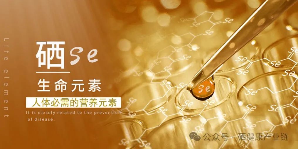 肺癌患者应如何补硒元素(肺癌补硒)-硒宝网