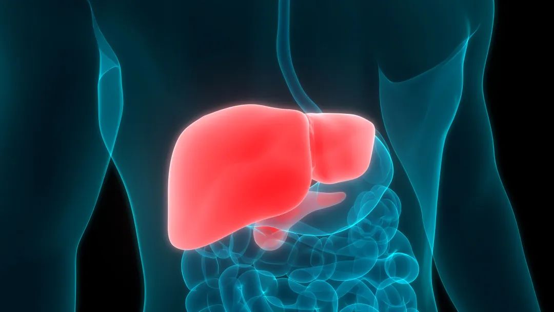 囊肿结节是不是不能补硒(有结节和囊肿能吃补品吗)-硒宝网