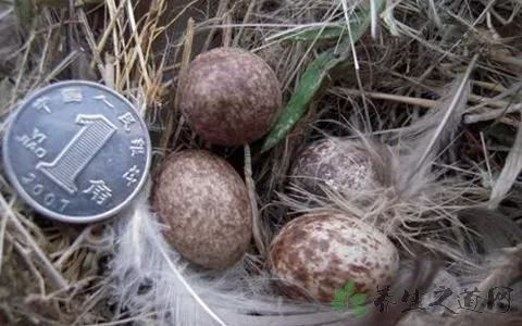 乙肝肝硬化患者怎么补硒(肝硬化补患者乙肝硒片吃多久)-硒宝网