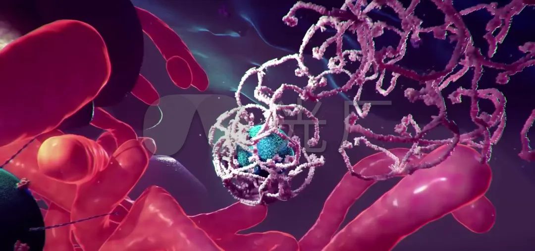 癌症患者需要长期补硒吗（癌症补患者长期需要硒元素吗）-硒宝网