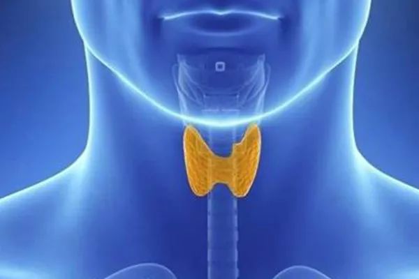 甲状腺补硒的中药有哪些（中药补甲状腺硒有什么作用）-硒宝网