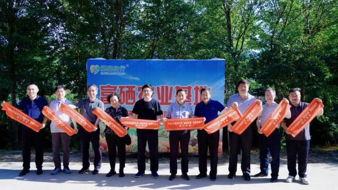 王治伦教授全民补硒不用(王治伦教授研究硒多少年了)-硒宝网