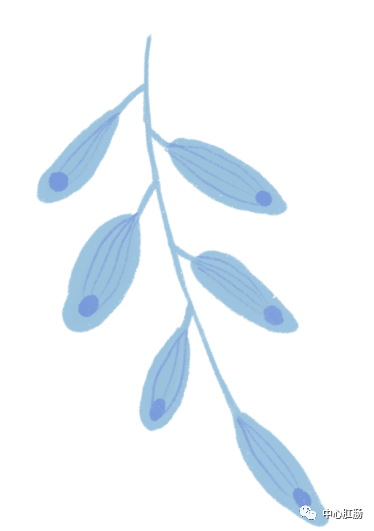 管状腺瘤切除可以补硒吗（管状腺瘤切除后什么不能吃）-硒宝网