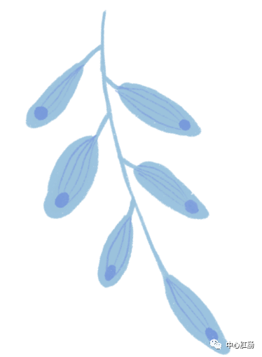 管状腺瘤切除可以补硒吗（管状腺瘤切除后什么不能吃）-硒宝网