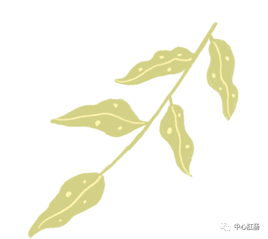 管状腺瘤切除可以补硒吗（管状腺瘤切除后什么不能吃）-硒宝网