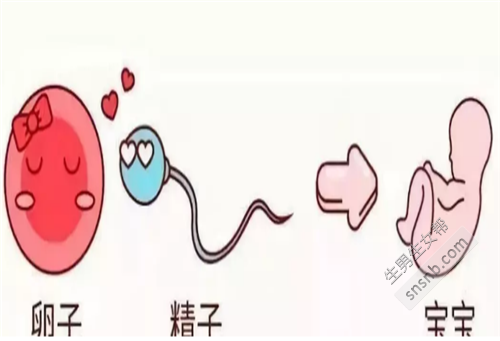 补硒对不孕不育有作用吗（备孕补硒的好处）-硒宝网